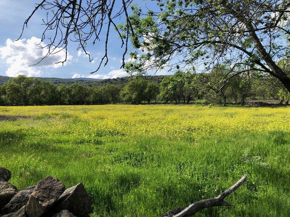 Images El Encanto del Valle del Lozoya