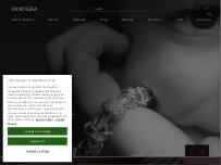 Website Screenshot Pandora ES