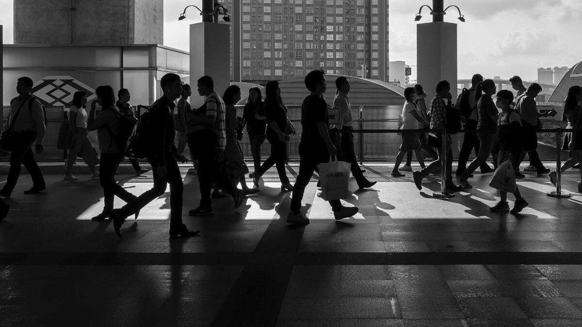 Images EVPF-Consulting
