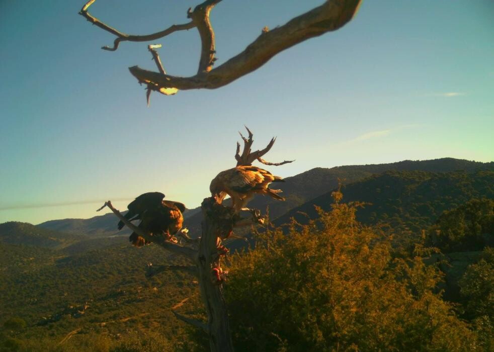 Images FINCA EL ENDRINAL