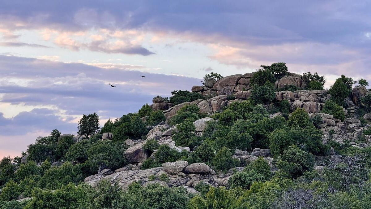 Images FINCA EL ENDRINAL