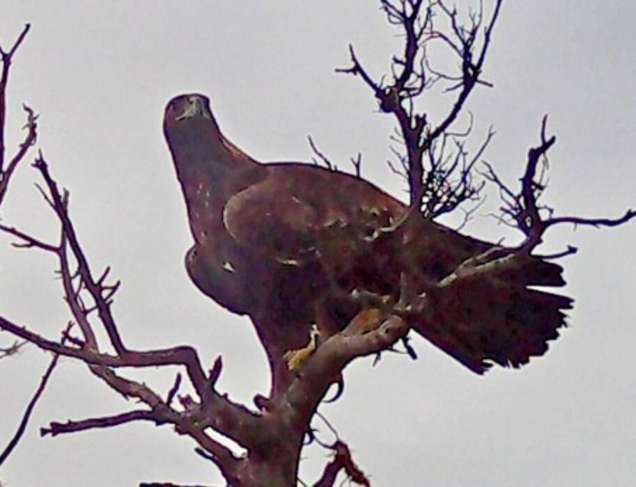 Images FINCA EL ENDRINAL