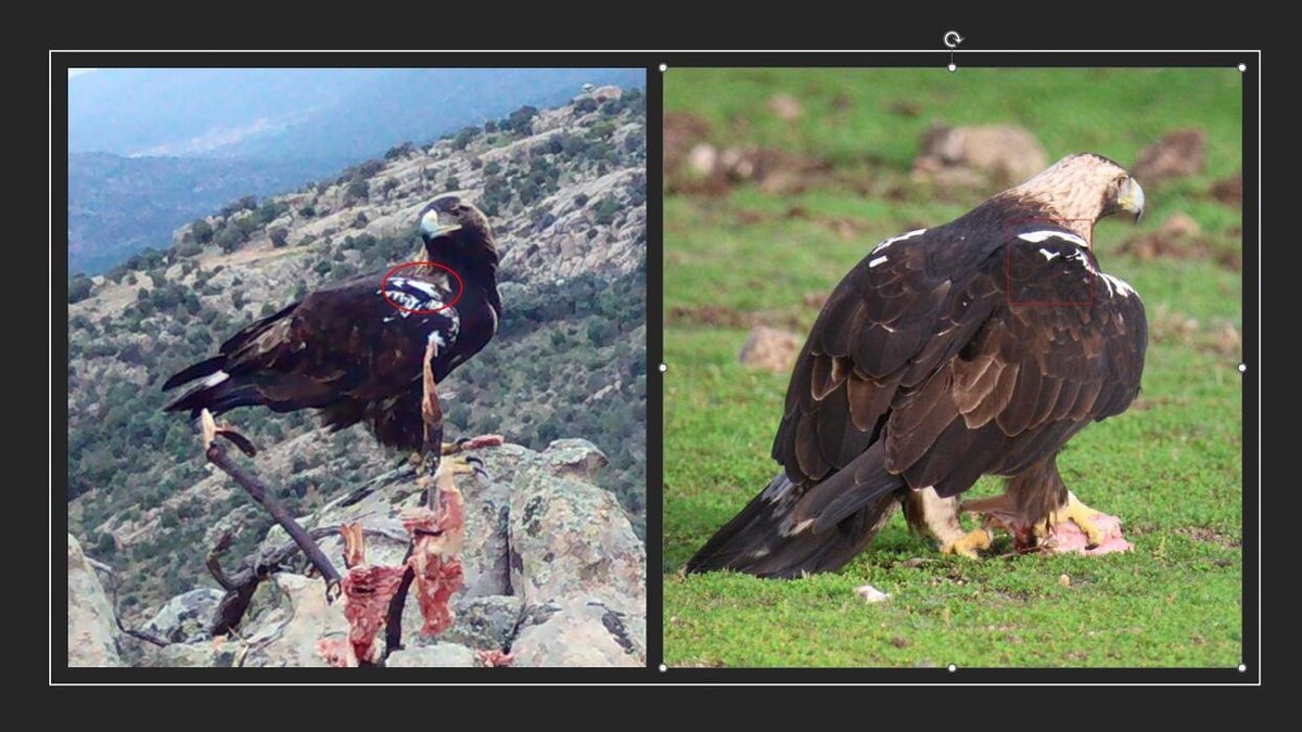 Images FINCA EL ENDRINAL