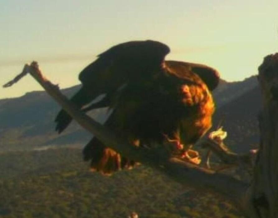 Images FINCA EL ENDRINAL