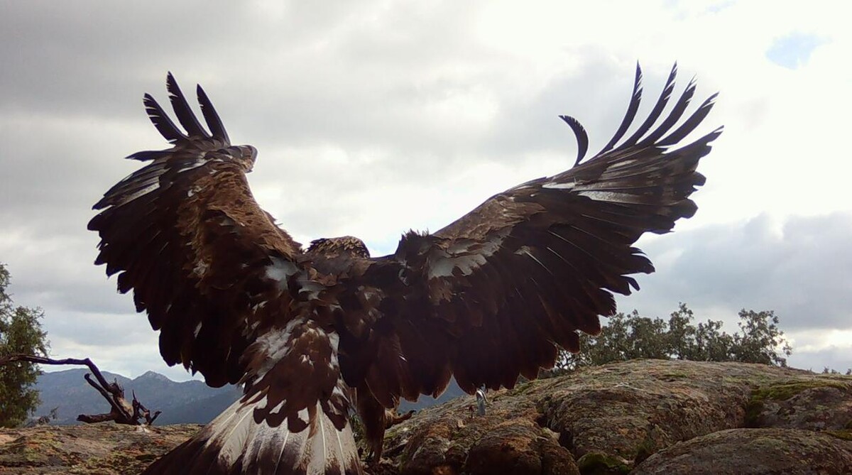 Images FINCA EL ENDRINAL