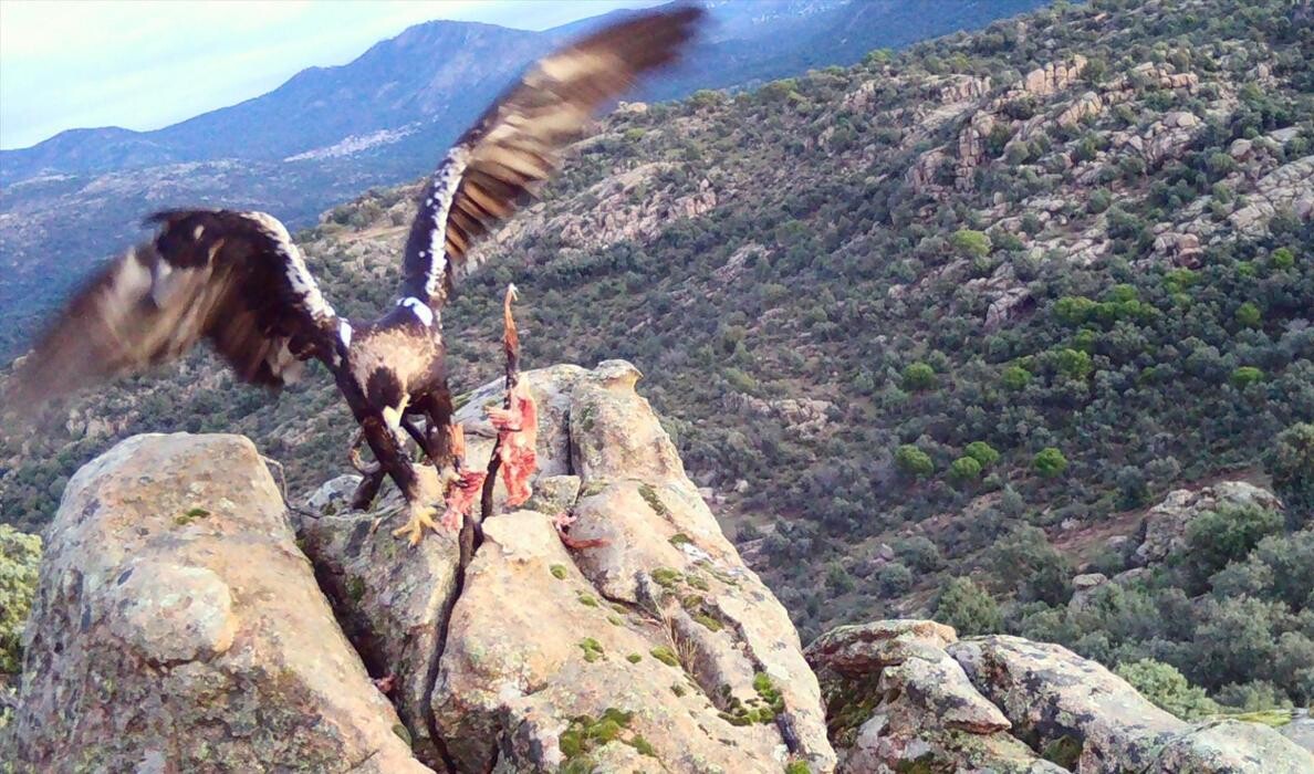 Images FINCA EL ENDRINAL