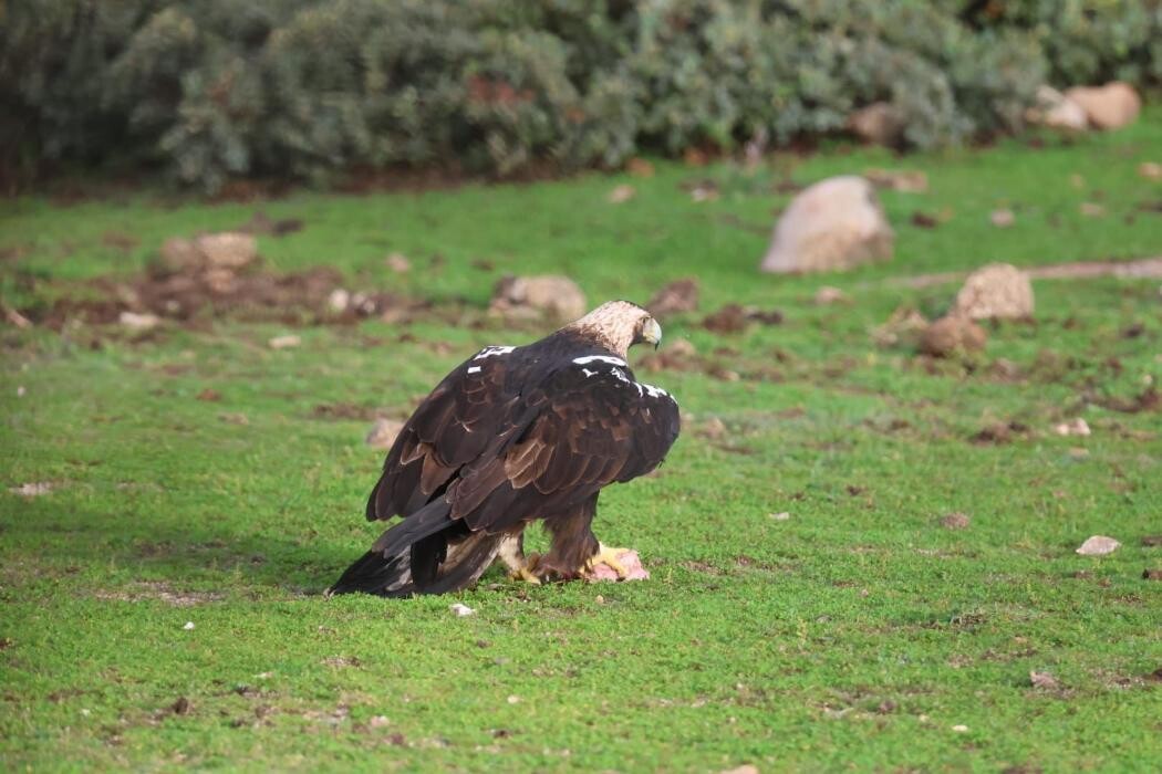 Images FINCA EL ENDRINAL