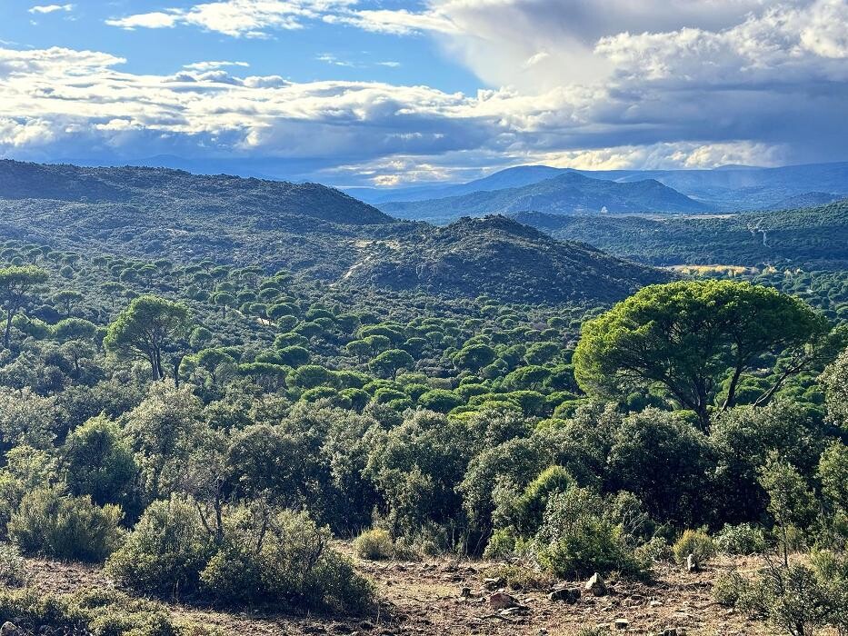 Images FINCA EL ENDRINAL