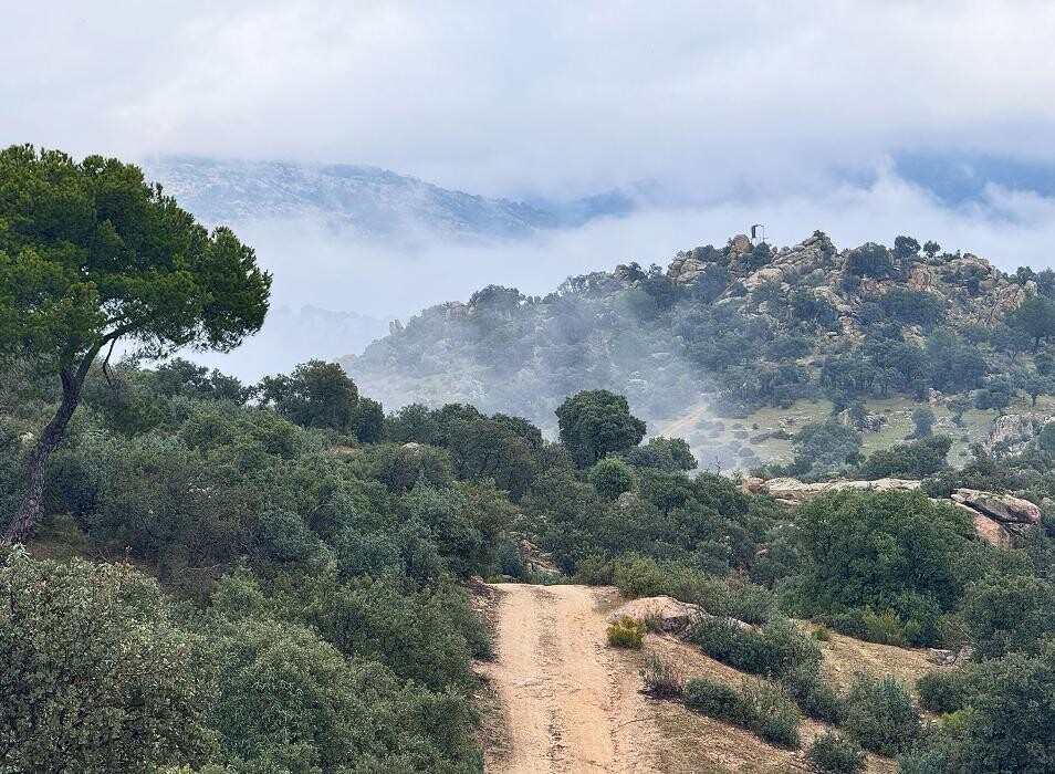 Images FINCA EL ENDRINAL