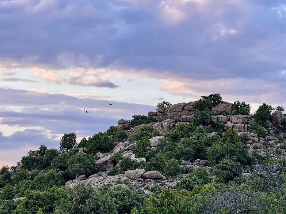 Images FINCA EL ENDRINAL