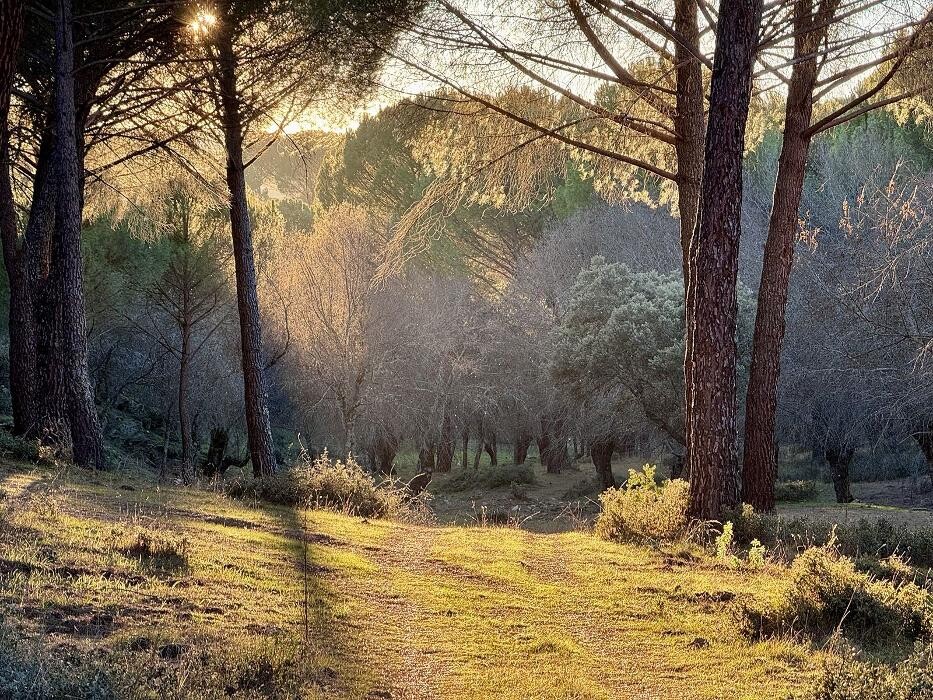 Images FINCA EL ENDRINAL