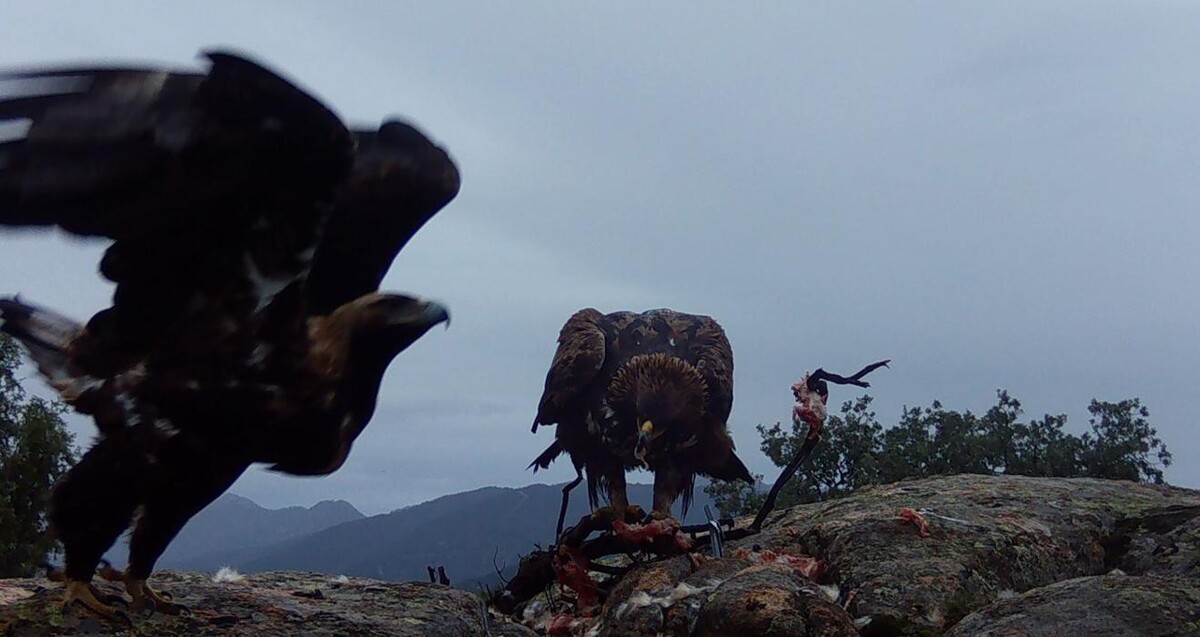 Images FINCA EL ENDRINAL