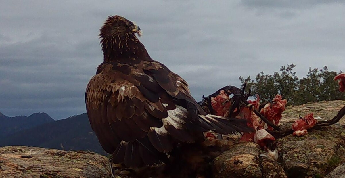 Images FINCA EL ENDRINAL