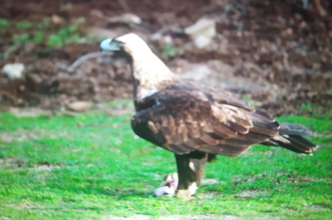 Images FINCA EL ENDRINAL