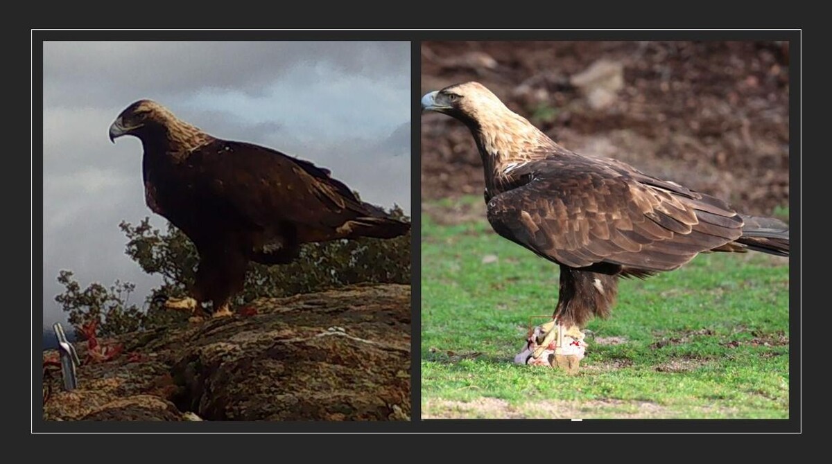 Images FINCA EL ENDRINAL