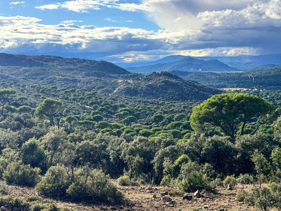 Images FINCA EL ENDRINAL