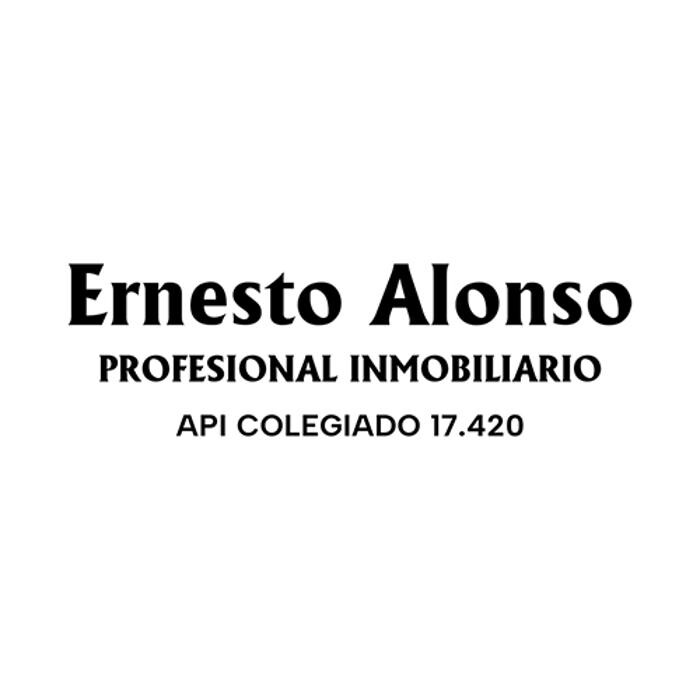 ERNESTO ALONSO PROFESIONAL INMOBILIARIO Logo