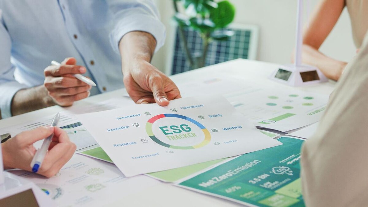 Images TALLER ECOSOCIAL