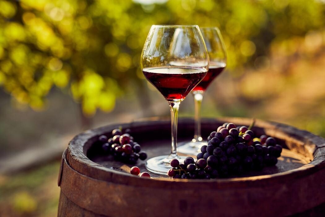 Images Vino Verdad