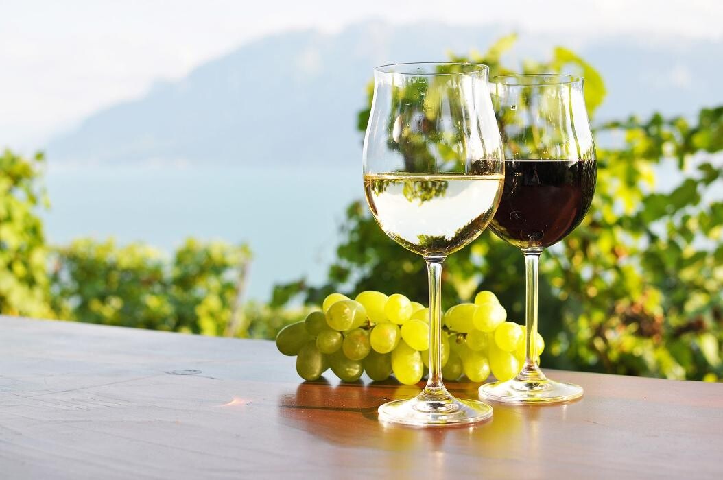 Images Vino Verdad