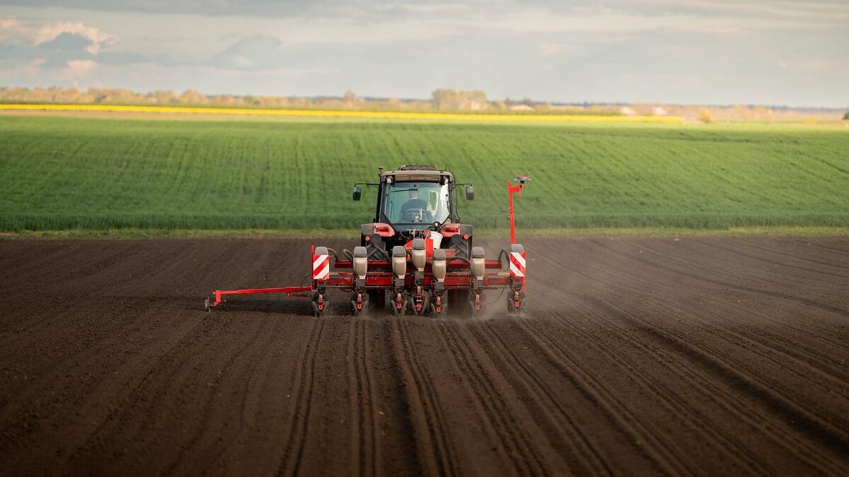 Images Josep Amigó Marsá