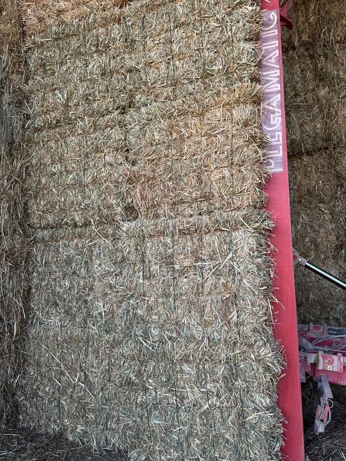 Images Josep Amigó Marsá