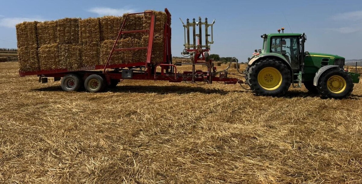 Images Josep Amigó Marsá