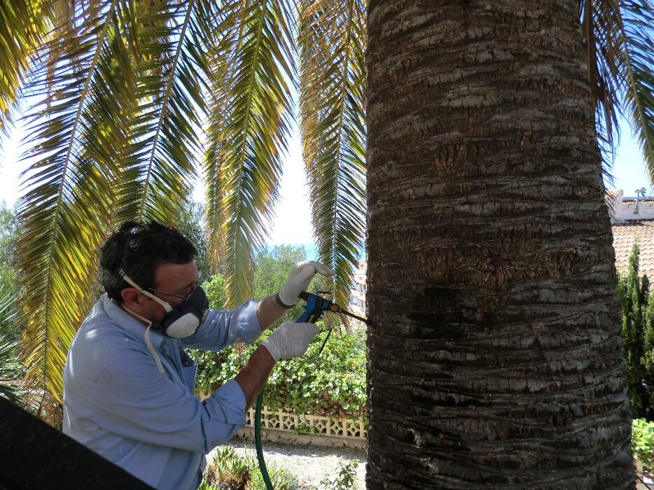 Images Higienisa y Control de Plagas, Desinfección, Fumigación