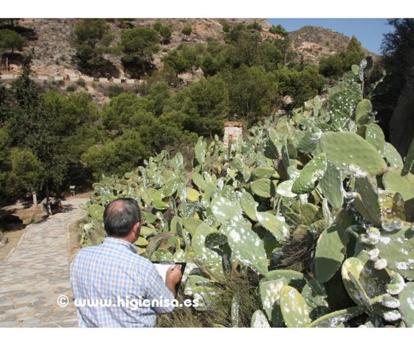 Images Higienisa y Control de Plagas, Desinfección, Fumigación