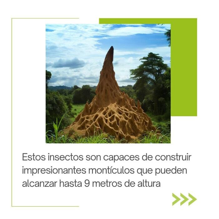 Images Higienisa y Control de Plagas, Desinfección, Fumigación