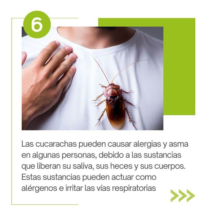 Images Higienisa y Control de Plagas, Desinfección, Fumigación