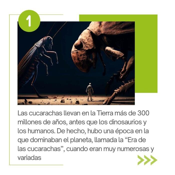 Images Higienisa y Control de Plagas, Desinfección, Fumigación