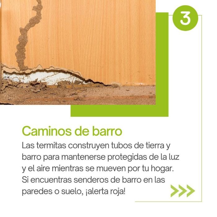 Images Higienisa y Control de Plagas, Desinfección, Fumigación