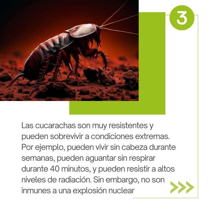 Images Higienisa y Control de Plagas, Desinfección, Fumigación