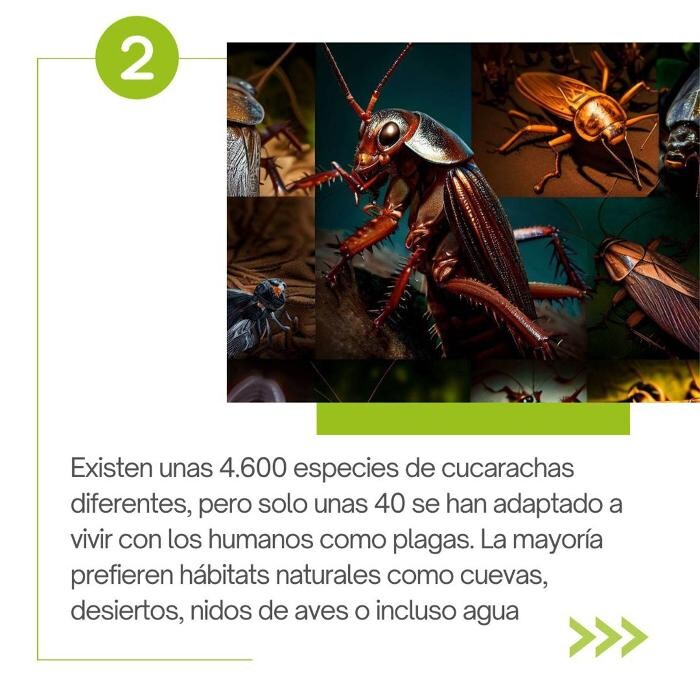 Images Higienisa y Control de Plagas, Desinfección, Fumigación