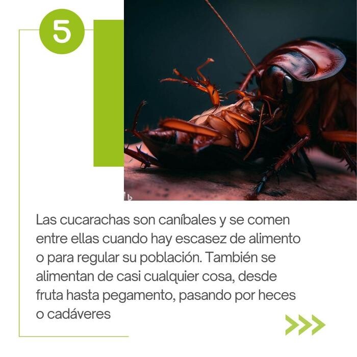 Images Higienisa y Control de Plagas, Desinfección, Fumigación