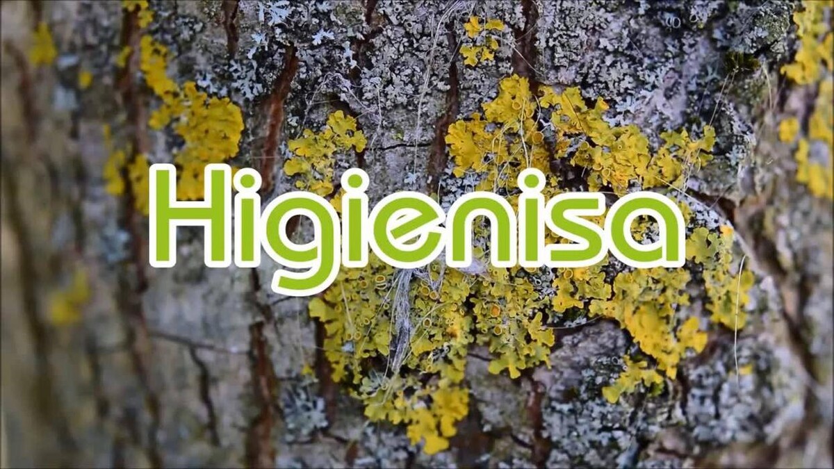 Images Higienisa y Control de Plagas, Desinfección, Fumigación