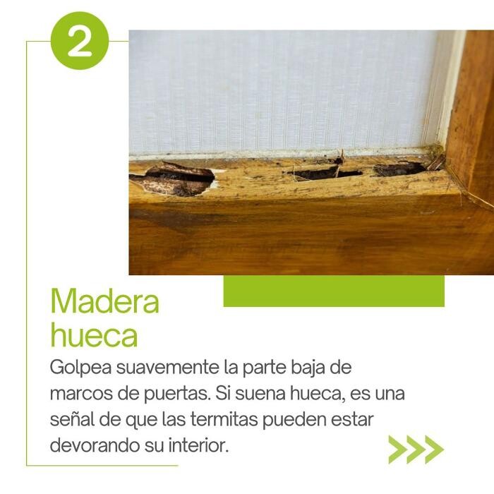 Images Higienisa y Control de Plagas, Desinfección, Fumigación