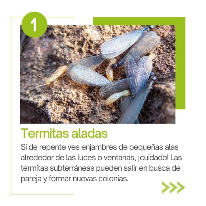 Images Higienisa y Control de Plagas, Desinfección, Fumigación