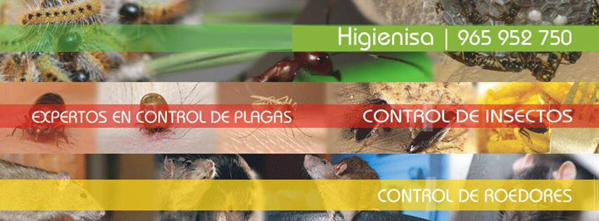 Images Higienisa y Control de Plagas, Desinfección, Fumigación