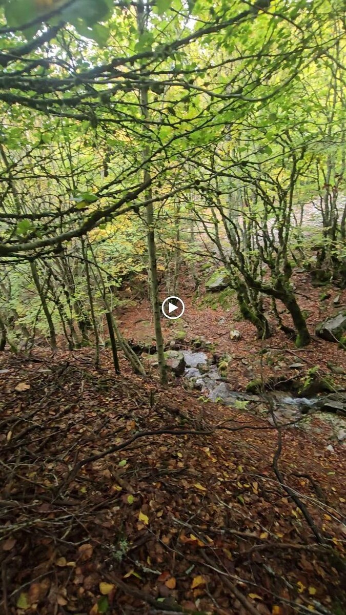 Images Hotel Rural La Encantada Riaza