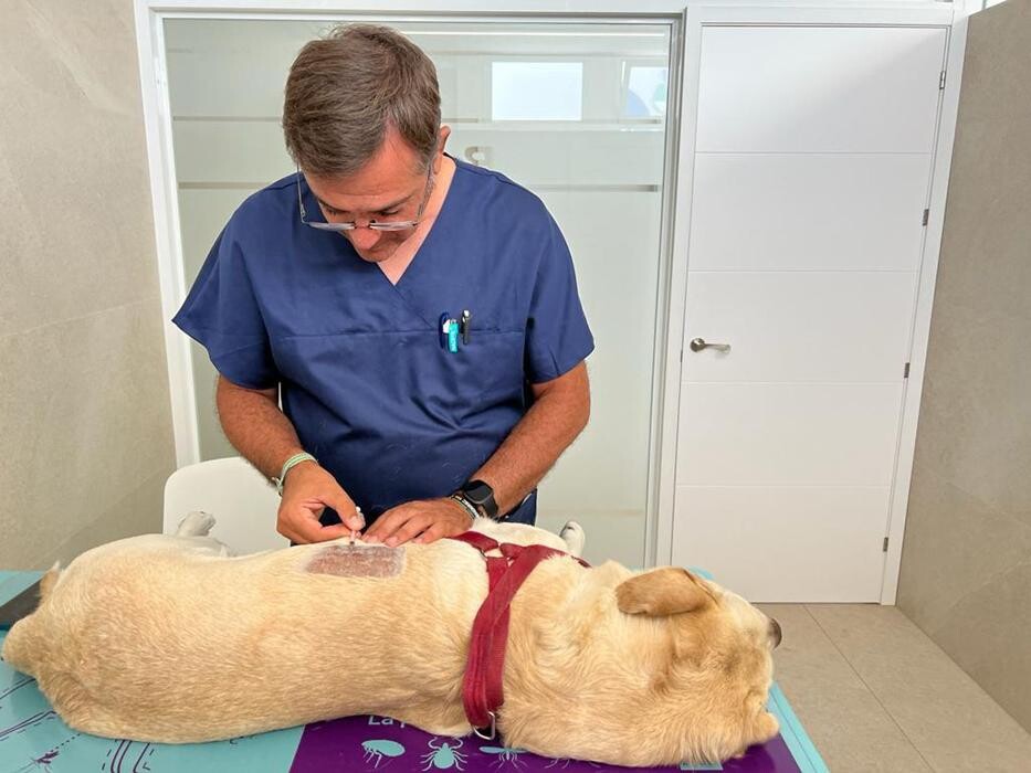 Images Clínica Veterinaria Roncal - Pilas