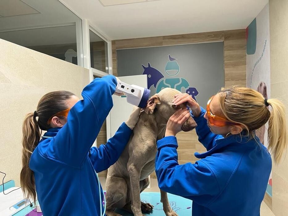 Images Clínica Veterinaria Roncal - Pilas