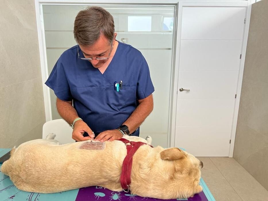 Images Clínica Veterinaria Roncal - Pilas