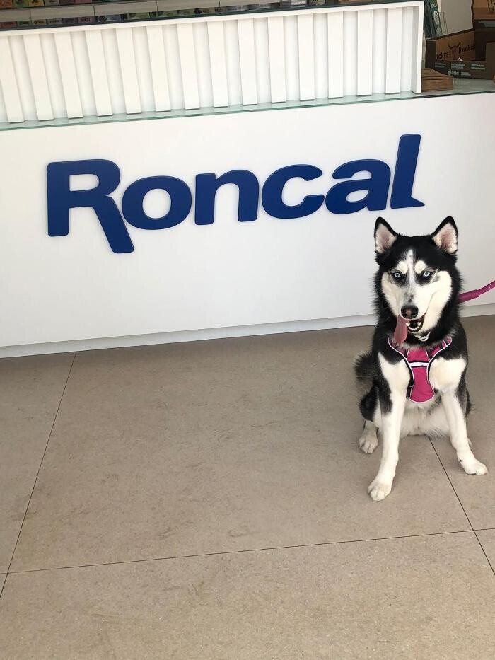 Images Clínica Veterinaria Roncal - Pilas