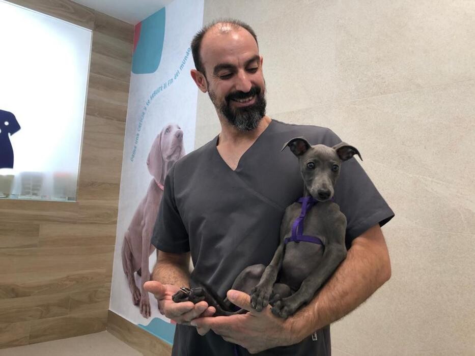 Images Clínica Veterinaria Roncal - Pilas