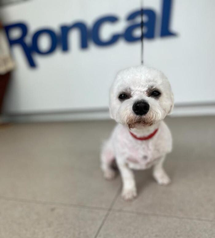 Images Clínica Veterinaria Roncal - Pilas