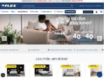 Website Screenshot Tienda Flex by Noctalia