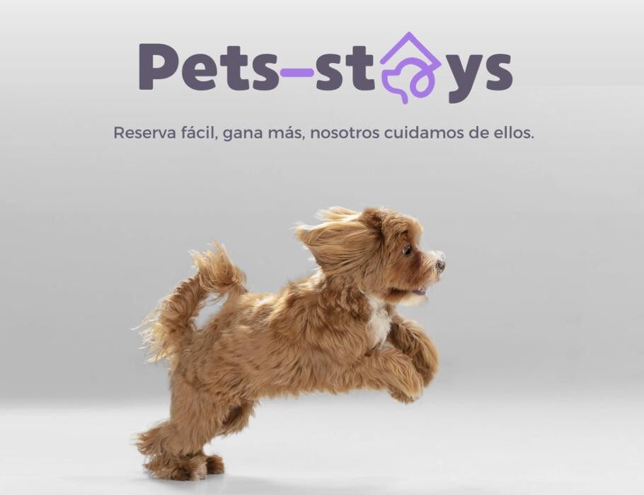 Images Pets-stays