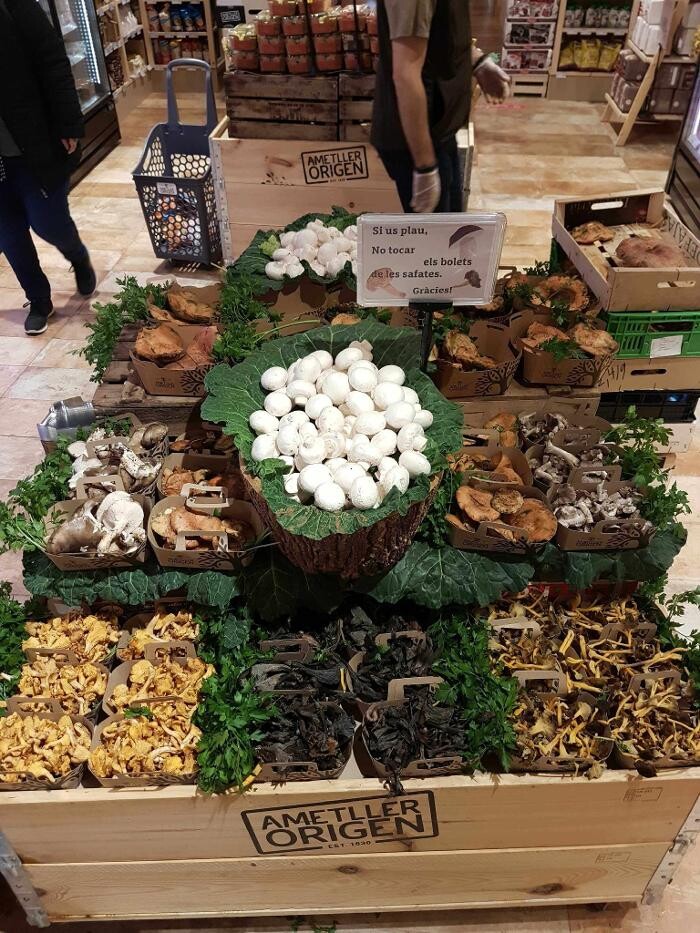 Images Ametller Origen